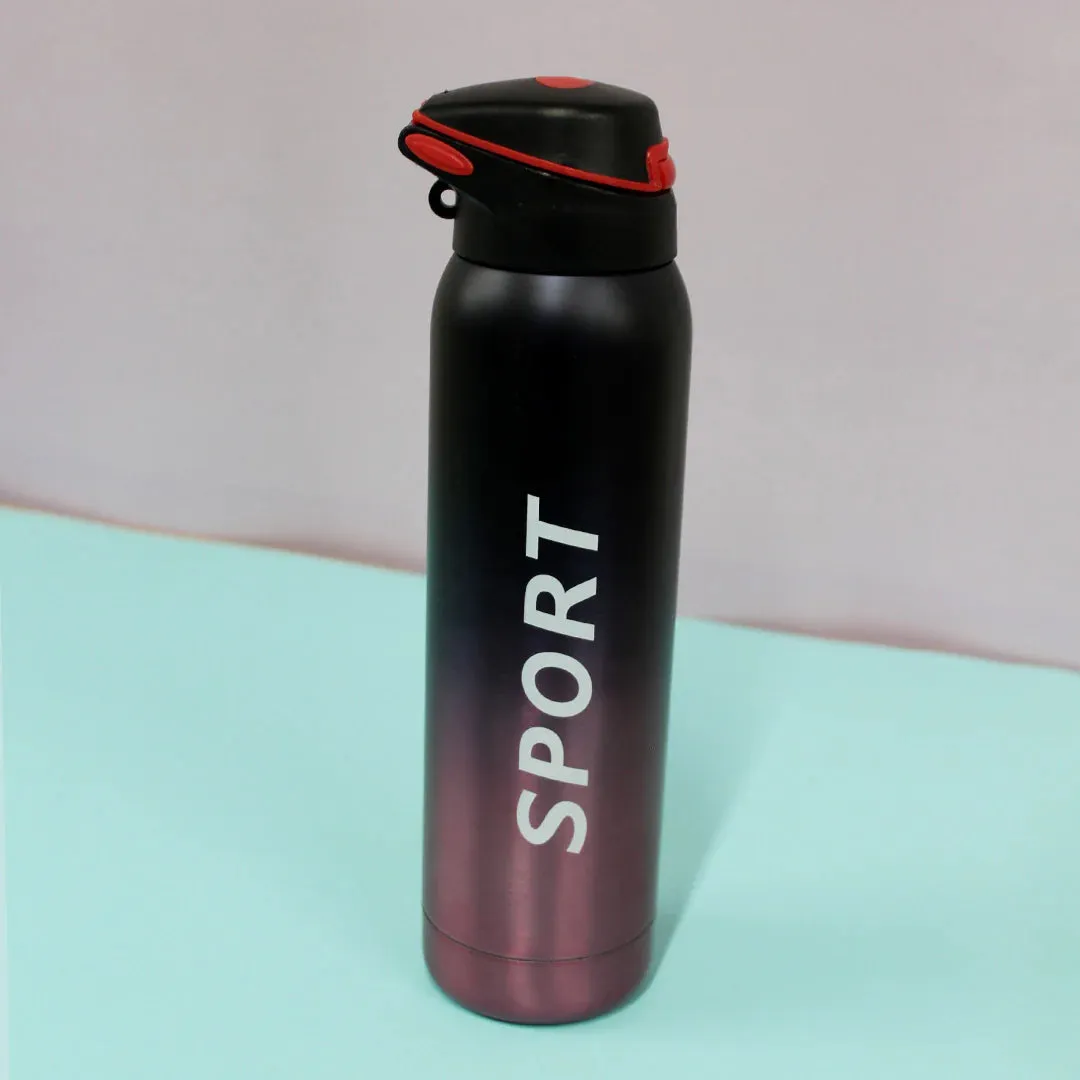 500ml Stainless Steel Sipper Water Bottle