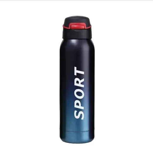 500ml Stainless Steel Sipper Water Bottle