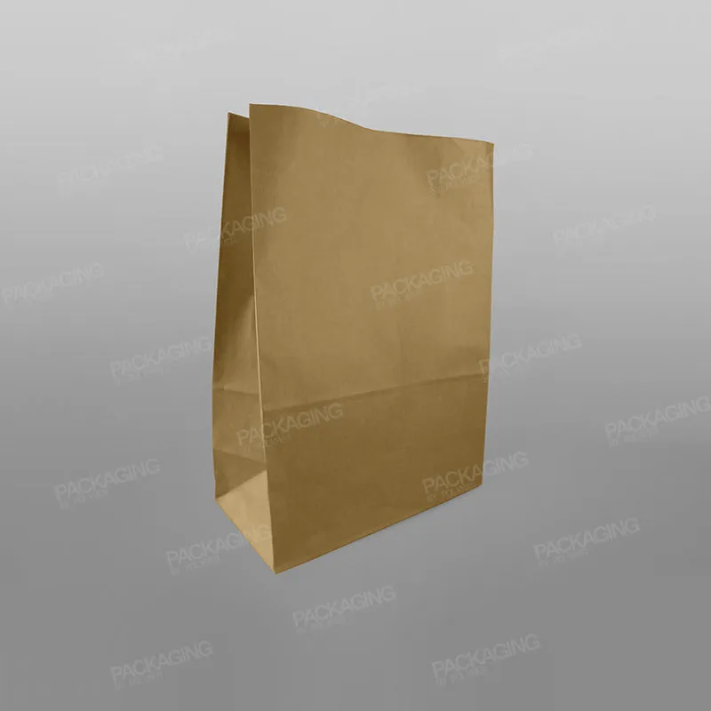 Brown Paper Grab Bag/ Take Away Bag, No Handles