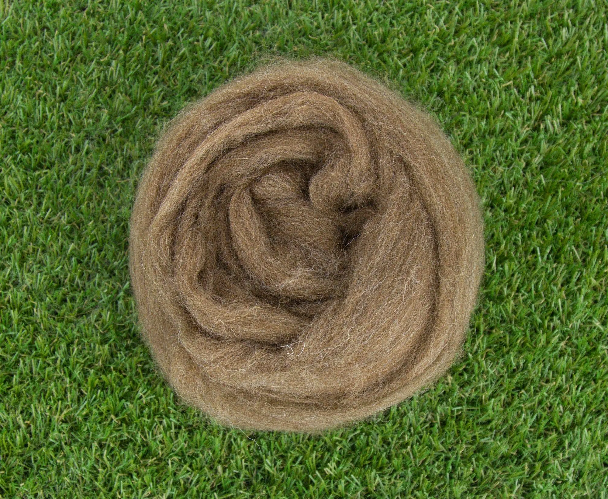 Moorit Shetland Top