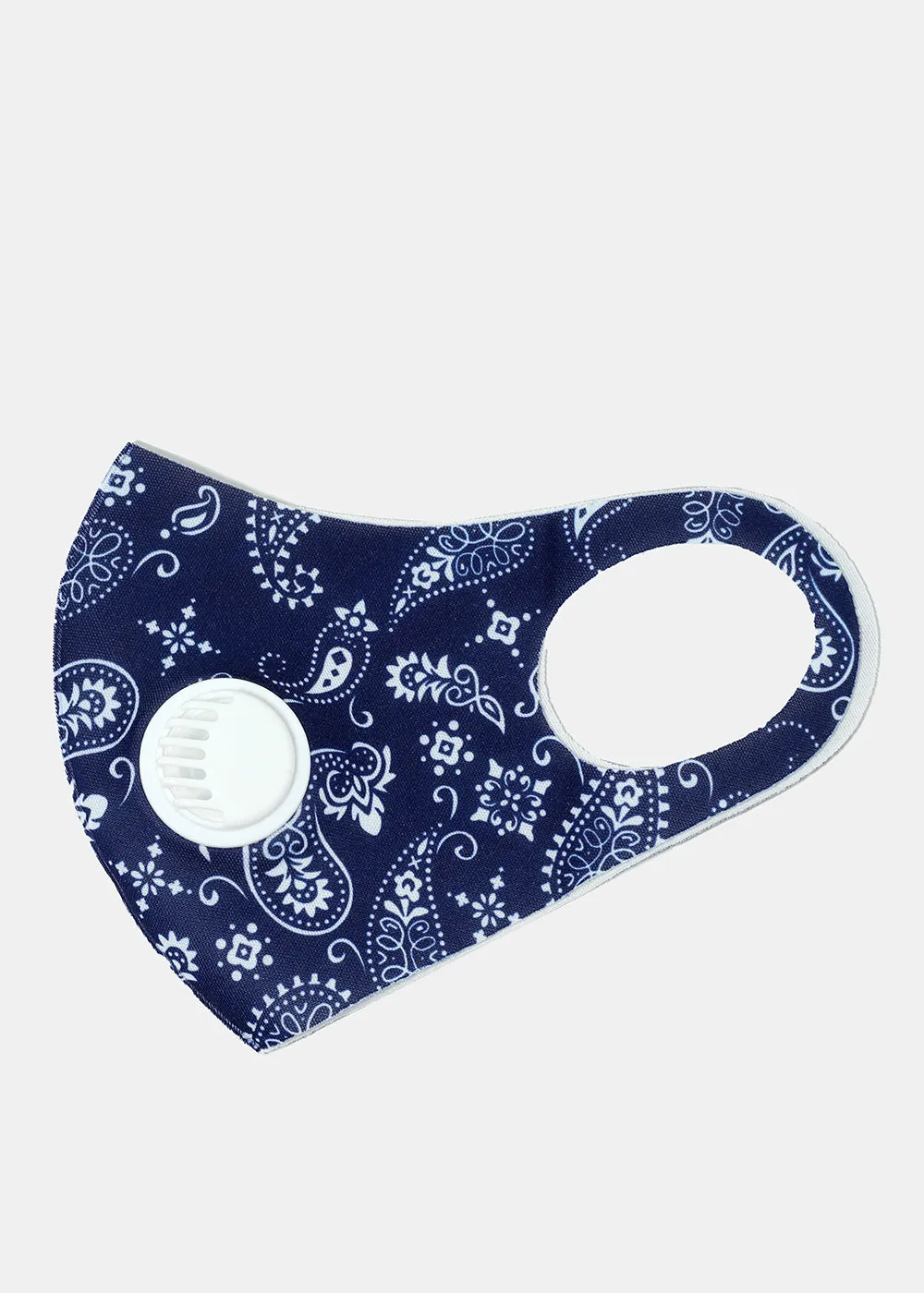 Paisley Print Face Mask with Double Dust Filter