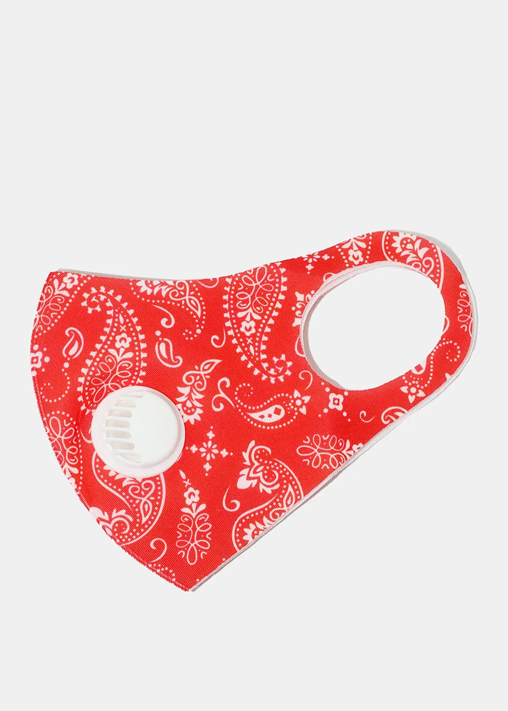 Paisley Print Face Mask with Double Dust Filter