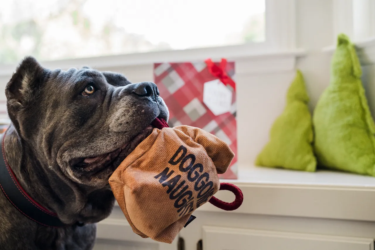 P.L.A.Y. Home for the Holidays Interactive Dog Toy, Bag of Coal