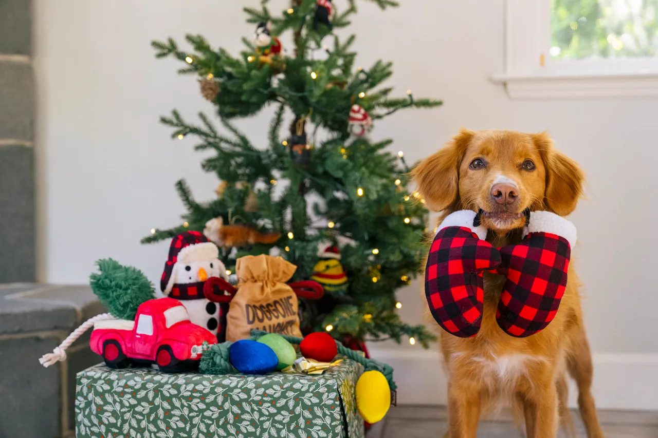 P.L.A.Y. Home for the Holidays Interactive Dog Toy, Red Truck