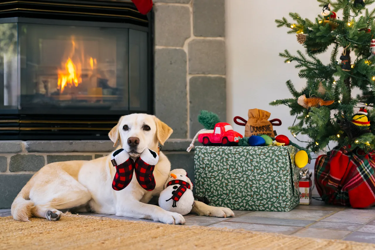 P.L.A.Y. Home for the Holidays Interactive Dog Toy, Red Truck