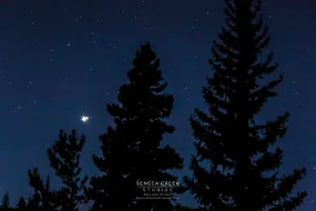 "3 Trees & The Great Conjunction Christmas Star, Winter Solstice 2020" Fine Art Photography Print