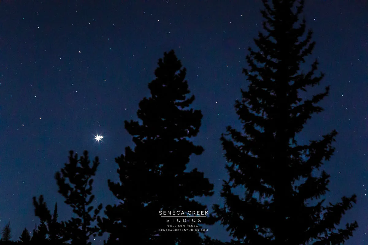 "3 Trees & The Great Conjunction Christmas Star, Winter Solstice 2020" Fine Art Photography Print