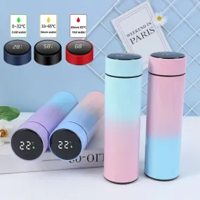 Temperature Display Vacuum Insulated Water Bottle